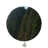 Artwork for "On the Hill"