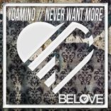 Artwork für "Never Want More"