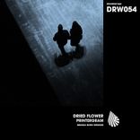 Artwork voor "Printergram (Seumas Norv Remix)"