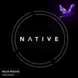 Artwork for "Cracking"