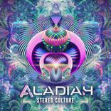 Artwork voor "Stereo Culture"