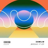 Artwork for "Break It"