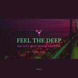Artwork voor "Feel The Deep (Big City Deep-House Grooves), Vol. 2"