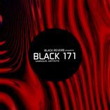 Artwork for "Black 171"