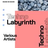 Portada para "Techno Labyrinth"