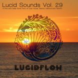 Artwork für "Lucid Sounds, Vol. 29 (A Fine and Deep Sonic Flow of Club House, Electro, Minimal and Techno)"
