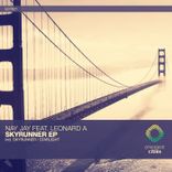 Artwork for "Skyrunner / Starlight"