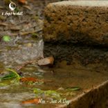 Artwork voor "Just A Day"