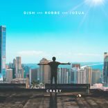 Artwork für "Crazy"