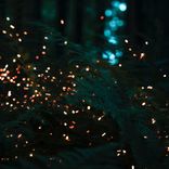 Artwork für "Hatchback"