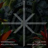 Portada para "Nadie (Remix)"