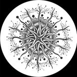 Artwork for "Full Circle"