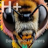 Artwork for "Bees and Flowers"