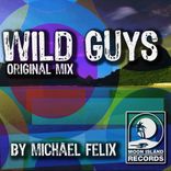 Artwork for "Wild Guys"