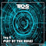 Artwork for "Play By The Rules"
