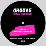 Artwork for "Afro Journey"