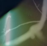 Artwork for "Hollowed"