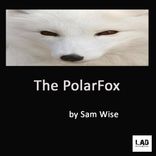 Artwork für "The PolarFox"