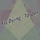 Torpor
