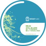 Artwork voor "Still In Love"