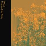 Artwork for "WALLS (Throwing Snow Remix)"