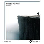 Artwork for "Norway"