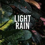 Artwork für "Light Rain"