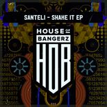 Artwork for "Shake It"