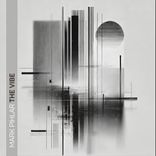 Portada para "The Vibe"