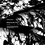 Artwork for "Berlin Calling, Vol.8"