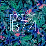 Artwork voor "Best Of Ibiza 2015"
