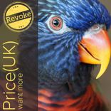 Artwork for "Want More"