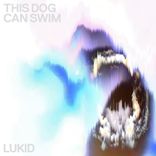 Artwork for "This Dog Can Swim"