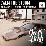 Artwork for "Calm The Storm"