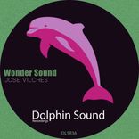 Portada para "Wonder Sound"