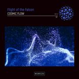 Artwork voor "Cosmic Flow EP"