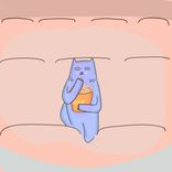 Artwork voor "Orange Days"