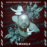 Artwork for "Kwanele"