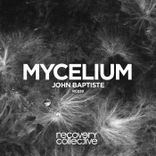 Artwork for "Mycelium"