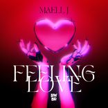 Portada para "Feeling Love"