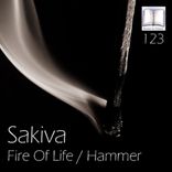 Artwork for "Fire Of Life / Hammer"