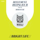 Artwork for "Bright Life"