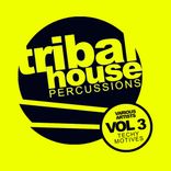 Artwork for "Tribal House Percussions, Vol.3: Techy Motives"