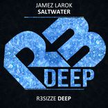 Artwork voor "Saltwater"