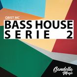 Artwork for "BASS HOUSE SERIES 2"