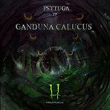 Artwork for "Ganduna Calucus"
