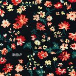 Artwork for "Affinity"