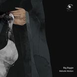 Artwork for "Melodic Motion"