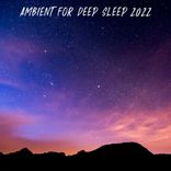 Artwork voor "Ambient for Deep Sleep 2022"