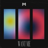 Artwork voor "Want Me"